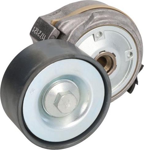SKF VKMCV 55004 - Galoppino / Guidacinghia, Cinghia Poly-V www.autoricambi360.it