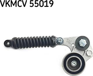 SKF VKMCV 55019 - Galoppino / Guidacinghia, Cinghia Poly-V www.autoricambi360.it