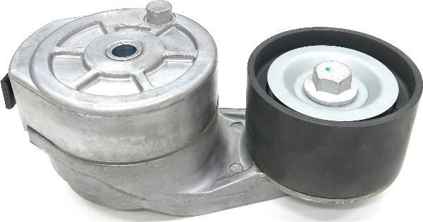 SKF VKMCV 56021 - Tendicinghia, Cinghia Poly-V www.autoricambi360.it