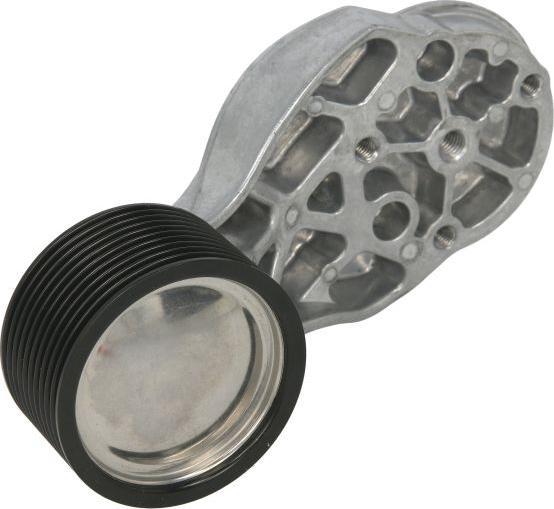 SKF VKMCV 53010 - Galoppino / Guidacinghia, Cinghia Poly-V www.autoricambi360.it