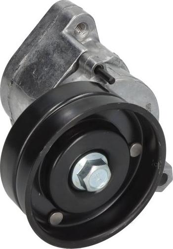 SKF VKMCV 57002 - Galoppino / Guidacinghia, Cinghia Poly-V www.autoricambi360.it