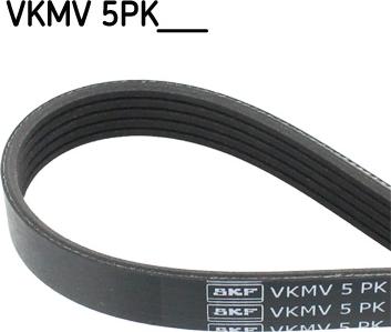 SKF VKMV 5PK975 - Cinghia Poly-V www.autoricambi360.it