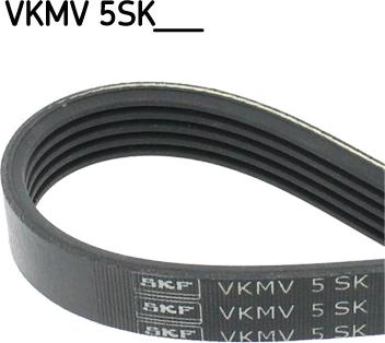 SKF VKMV 5SK694 - Cinghia Poly-V www.autoricambi360.it