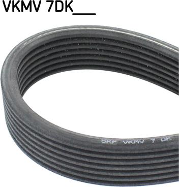 SKF VKMV 7DK1884 - Cinghia Poly-V www.autoricambi360.it