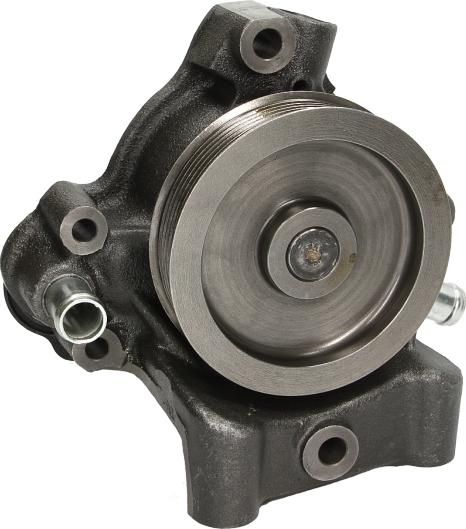 SKF VKPC 83101 - Pompa acqua www.autoricambi360.it