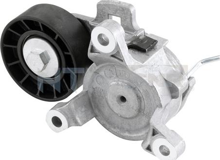 SNR GA359.20 - Galoppino / Guidacinghia, Cinghia Poly-V www.autoricambi360.it