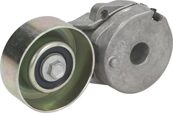 SNR GA355.25 - Galoppino / Guidacinghia, Cinghia Poly-V www.autoricambi360.it