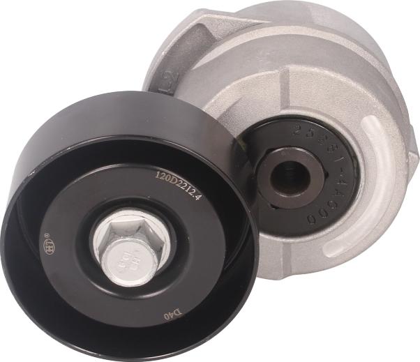SNR GA384.11 - Galoppino / Guidacinghia, Cinghia Poly-V www.autoricambi360.it