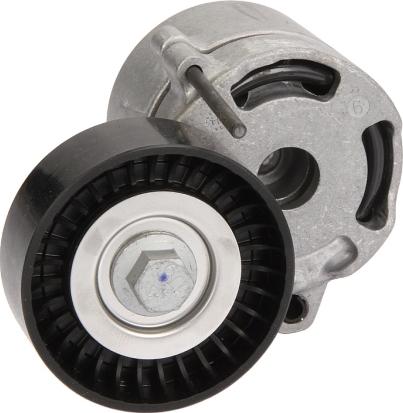 SNR GA381.01 - Galoppino / Guidacinghia, Cinghia Poly-V www.autoricambi360.it
