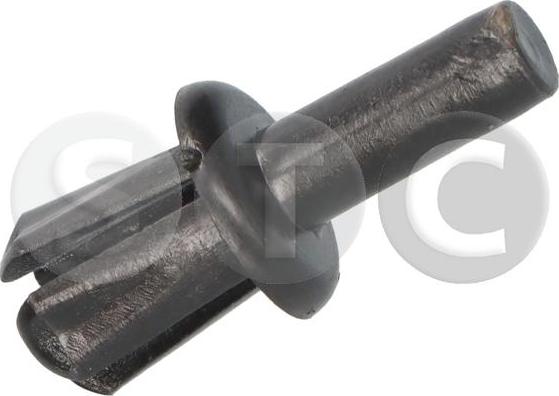 STC T444547 - Clip, Fregio / Modanatura protettiva www.autoricambi360.it