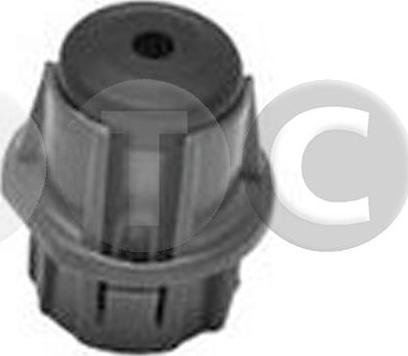 STC T442108 - Clip, Fregio / Modanatura protettiva www.autoricambi360.it