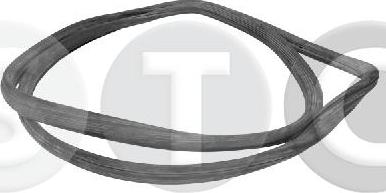 STC T442829 - Guarnizione, Parabrezza www.autoricambi360.it