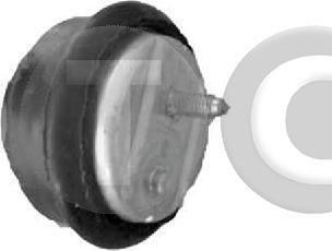 STC T454212 - Sospensione, Motore www.autoricambi360.it