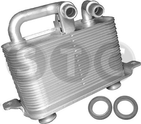 STC T406354 - Radiatore olio, Olio motore www.autoricambi360.it