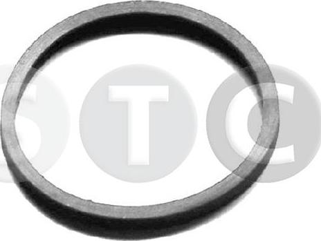 STC T402404 - Guarnizione, Termostato www.autoricambi360.it