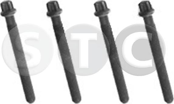 STC T402262 - Vite centraggio, Puleggia-Albero motore www.autoricambi360.it