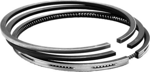 TRW 9505350 - Kit fasce elastiche www.autoricambi360.it