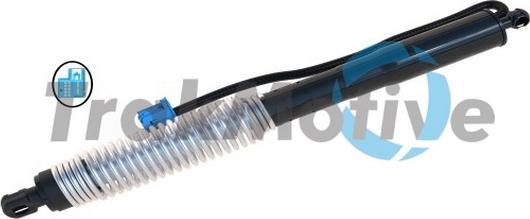TrakMotive 60-0048 - Motore elettrico, Cofano posteriore www.autoricambi360.it