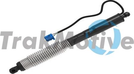 TrakMotive 60-0056 - Motore elettrico, Cofano posteriore www.autoricambi360.it