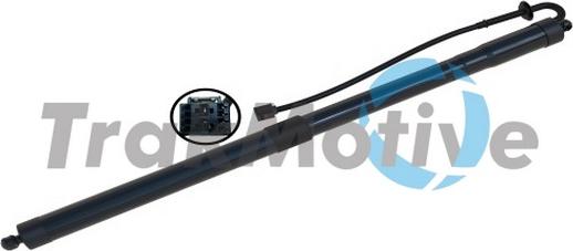 TrakMotive 60-0065 - Motore elettrico, Cofano posteriore www.autoricambi360.it