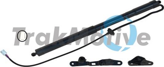 TrakMotive 60-0061 - Motore elettrico, Cofano posteriore www.autoricambi360.it