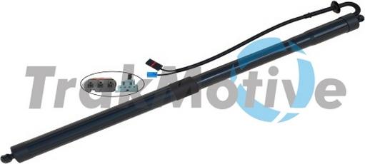 TrakMotive 60-0063 - Motore elettrico, Cofano posteriore www.autoricambi360.it