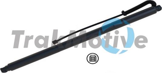 TrakMotive 60-0067 - Motore elettrico, Cofano posteriore www.autoricambi360.it