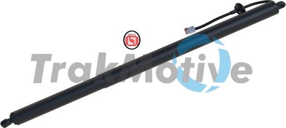 TrakMotive 60-0010 - Motore elettrico, Cofano posteriore www.autoricambi360.it