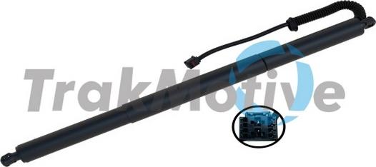TrakMotive 60-0013 - Motore elettrico, Cofano posteriore www.autoricambi360.it