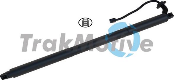 TrakMotive 60-0080 - Motore elettrico, Cofano posteriore www.autoricambi360.it