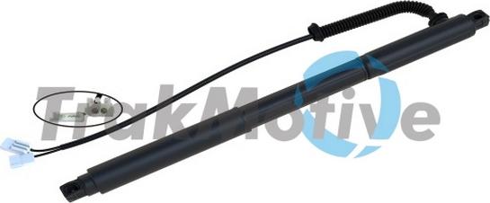 TrakMotive 60-0035 - Motore elettrico, Cofano posteriore www.autoricambi360.it