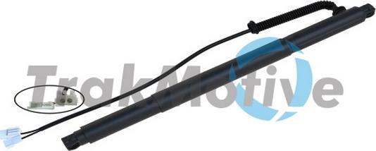 TrakMotive 60-0033 - Motore elettrico, Cofano posteriore www.autoricambi360.it