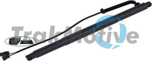 TrakMotive 60-0032 - Motore elettrico, Cofano posteriore www.autoricambi360.it