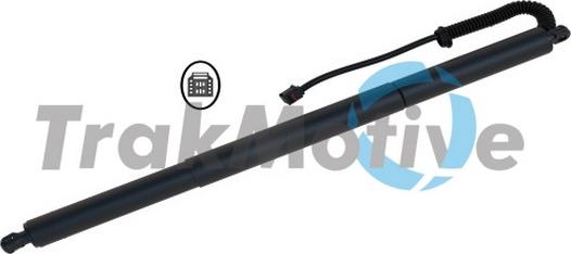 TrakMotive 60-0029 - Motore elettrico, Cofano posteriore www.autoricambi360.it