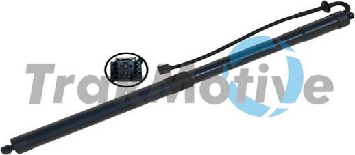 TrakMotive 60-0070 - Motore elettrico, Cofano posteriore www.autoricambi360.it
