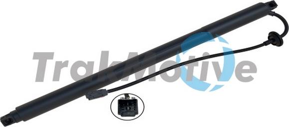 TrakMotive 60-0078 - Motore elettrico, Cofano posteriore www.autoricambi360.it
