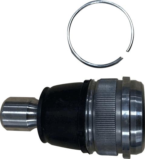 TRW JBJ7679 - Giunto di supporto / guida www.autoricambi360.it