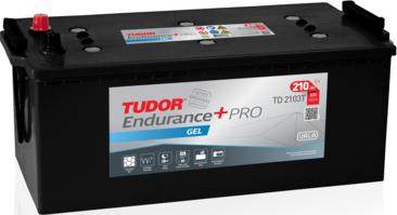 Tudor TD2103T - Batteria avviamento www.autoricambi360.it