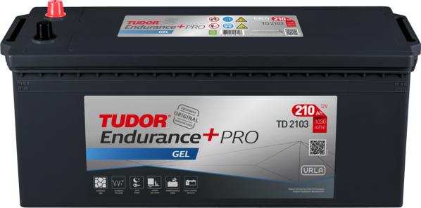 Tudor TD2103 - Batteria avviamento www.autoricambi360.it