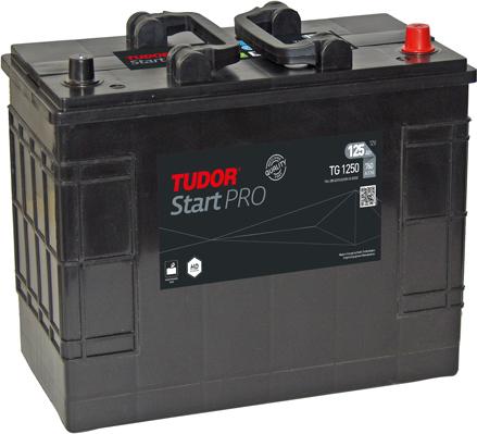 Tudor TG1250 - Batteria avviamento www.autoricambi360.it