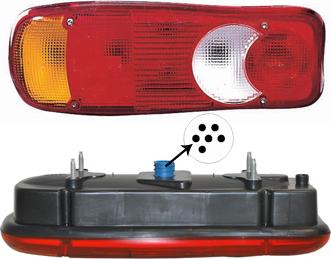 Van Wezel 1651935 - Luce posteriore www.autoricambi360.it
