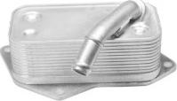 VEMA 341035 - Radiatore olio, Olio motore www.autoricambi360.it