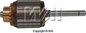 WAI 61-9153 - Ancorina, Starter www.autoricambi360.it