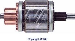 WAI 61-8313 - Ancorina, Starter www.autoricambi360.it