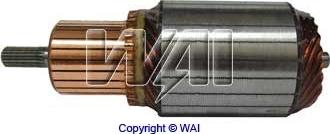 WAI 61-8216 - Ancorina, Starter www.autoricambi360.it