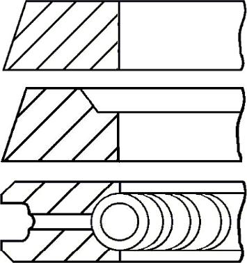 Goetze 0650180700 - Kit fasce elastiche www.autoricambi360.it