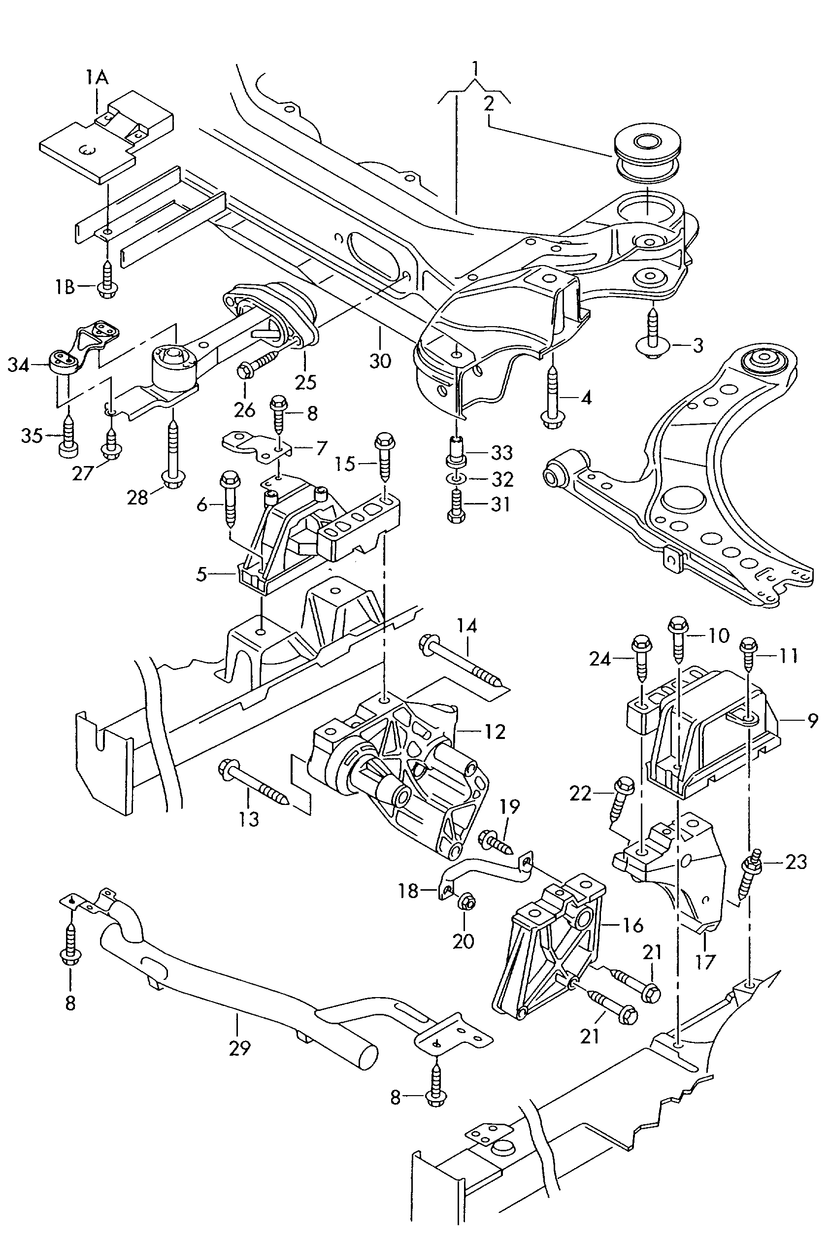 VAG N 019 531 3 - Kit cinghie dentate www.autoricambi360.it