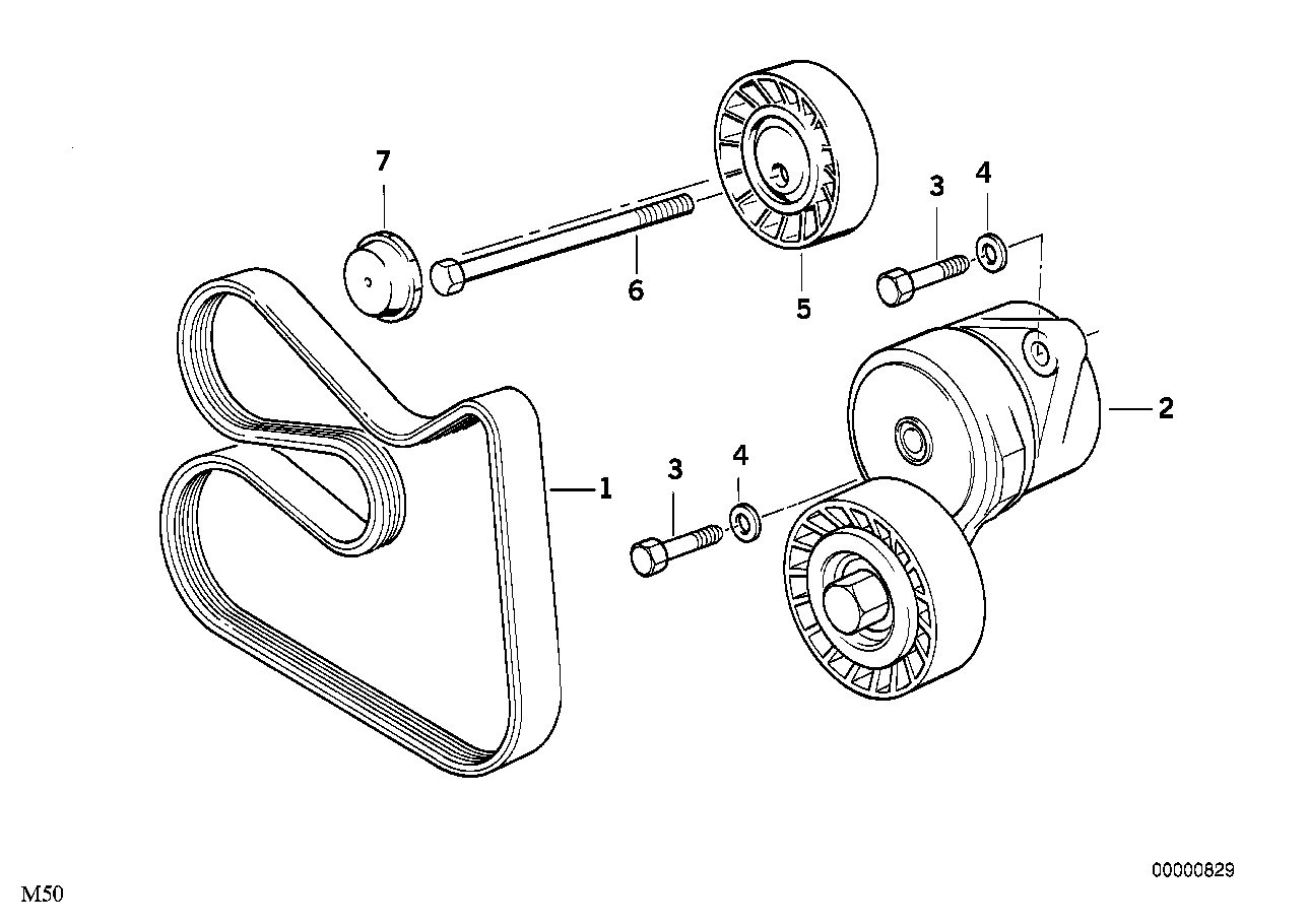 BMW 11281437929 - Cinghia Poly-V www.autoricambi360.it