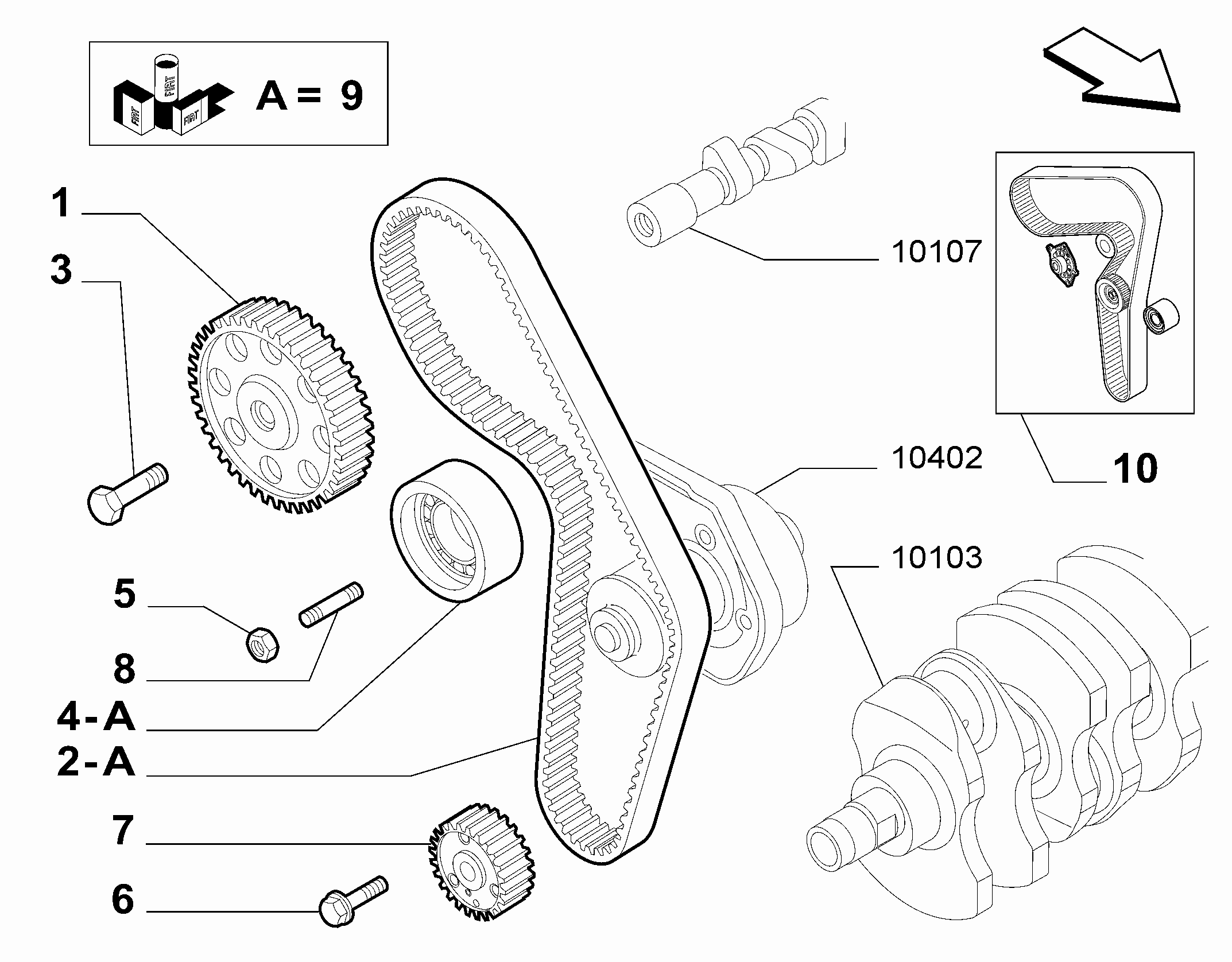 FCA 71771575 - Pompa acqua + Kit cinghie dentate www.autoricambi360.it
