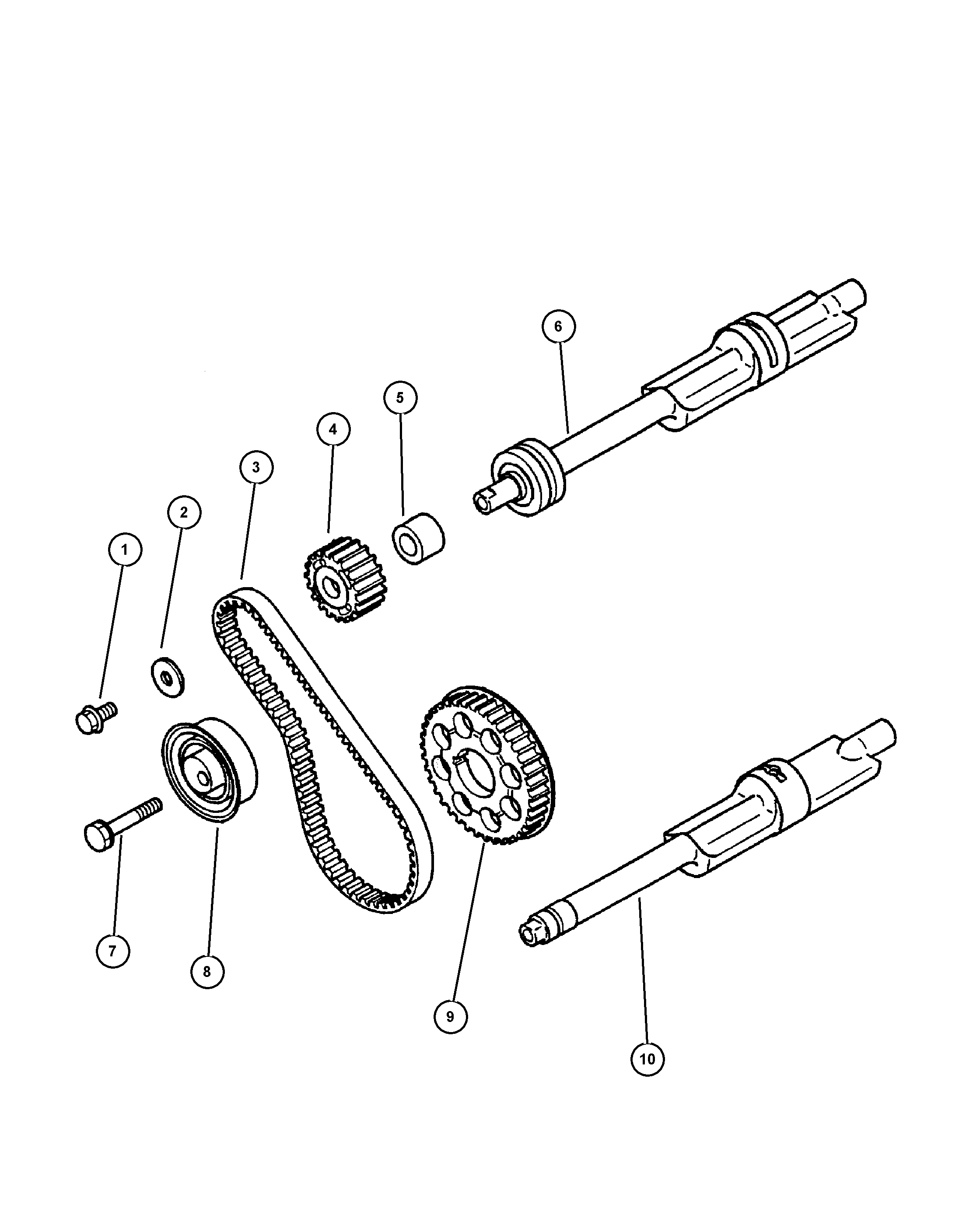 FCA MD182 295 - Cinghia dentata www.autoricambi360.it